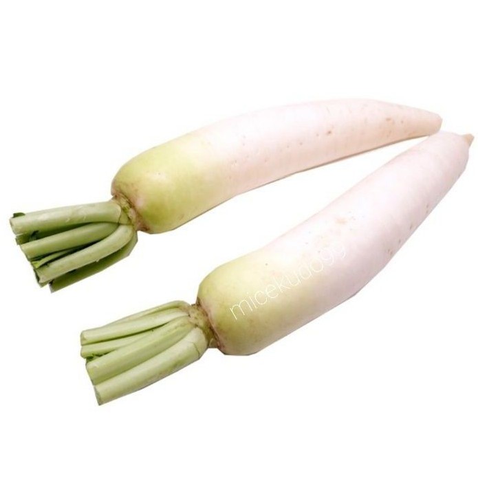 Jual Lobak Putih 500gr Sayur Segar Fresh White Radish Shopee Indonesia