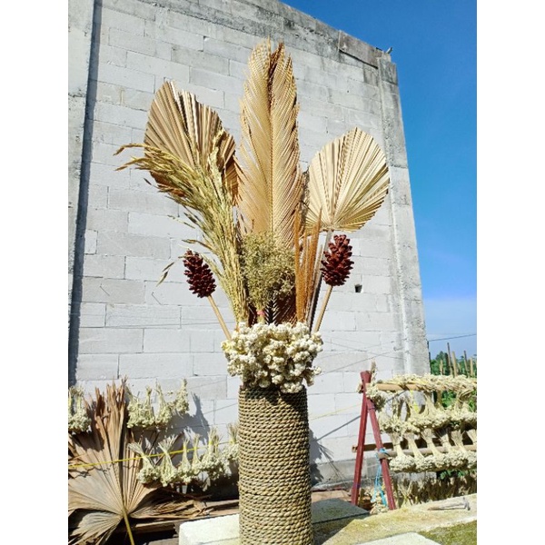 PAKET LENGKAP MURAH BUNGA DAN POT DAUN PALEM KERING-SIKAS-CANTEL-BUNGA RUSTIC AESTHETIC-DEKORASI RUSTIC-BUNGA KERING MURAH-HIASAN KAMAR-HIASAN RUANG