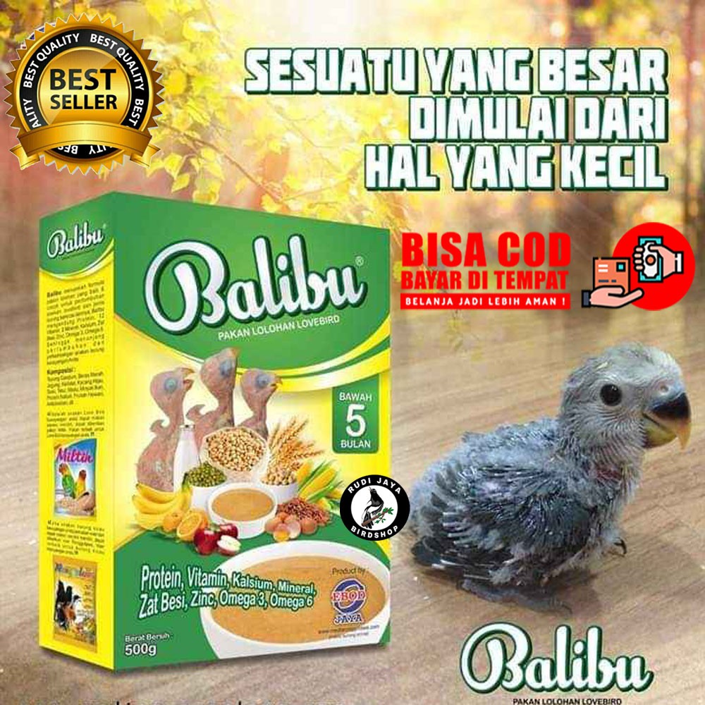 Lolohan Burung Emprit: Makanan Bernutrisi untuk Si Kecil
