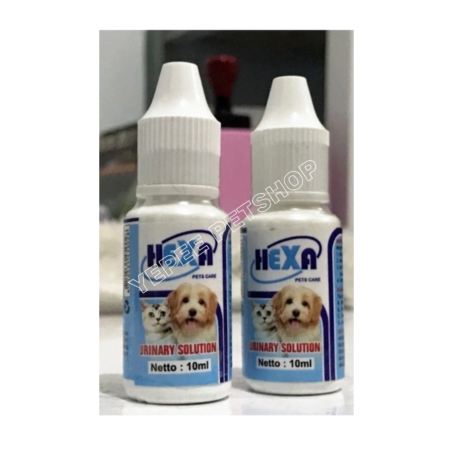 Jual Hexa Urinary Solution 10 ml (mengobati batu ginjal pada kucing dan ...