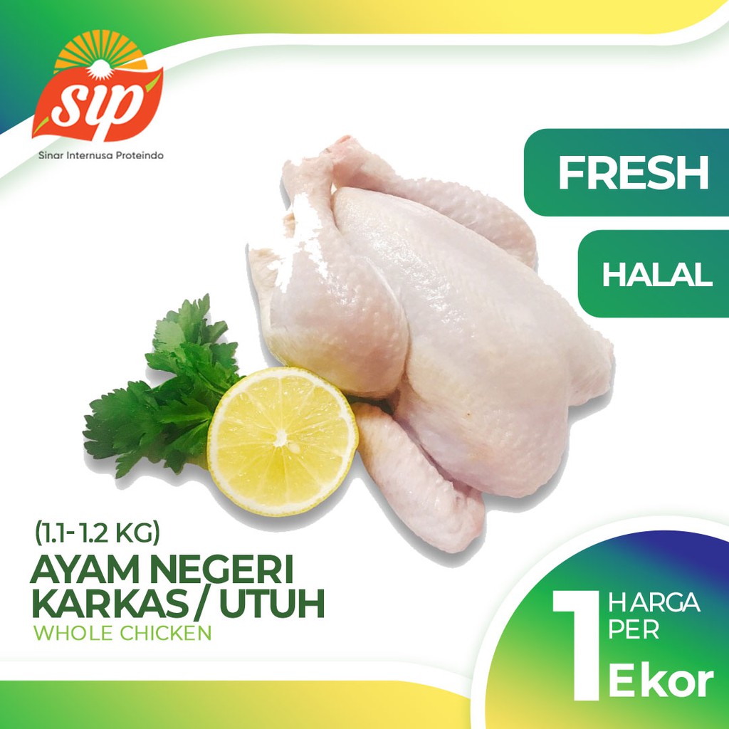 Jual Ayam Karkas Utuh Fresh Whole Chicken 1 1 1 2 Kg Shopee Indonesia