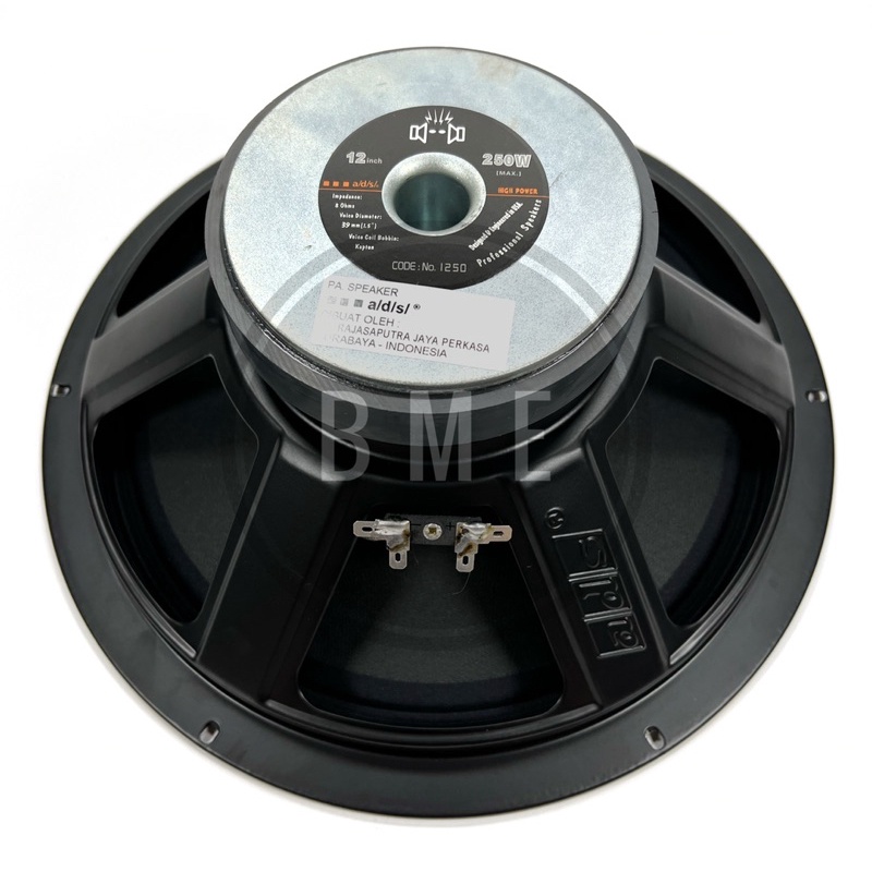 Speaker ads 12 inch best sale full range