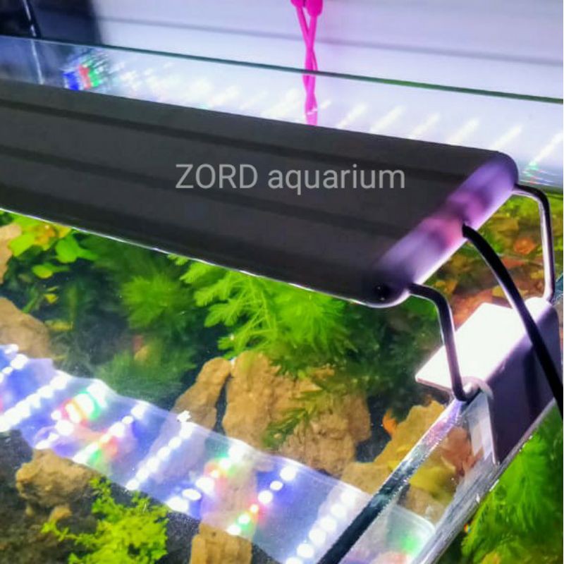 Jual S Kandila Led Rgbw Lampu Aquarium Aquascape Aquarium Cm Shopee Indonesia