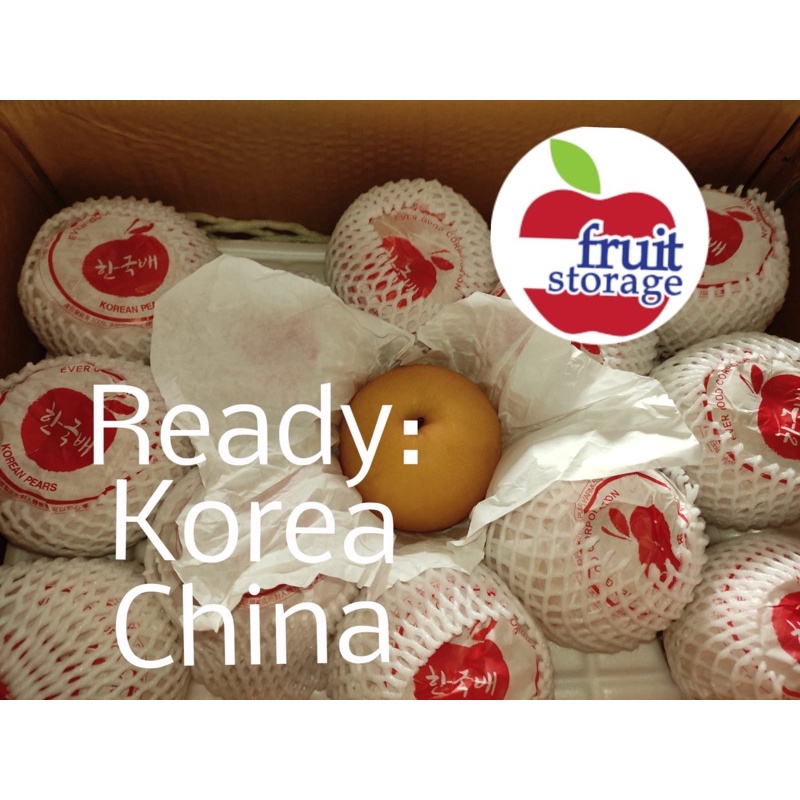 Jual Pear Singo import fresh buah pear pir Xingao China xin gao cina ...