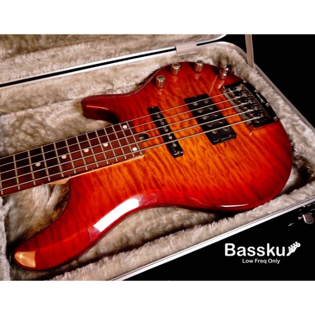 Jual Bass Ibanez RDGR 505 5strings Bekas Shopee Indonesia