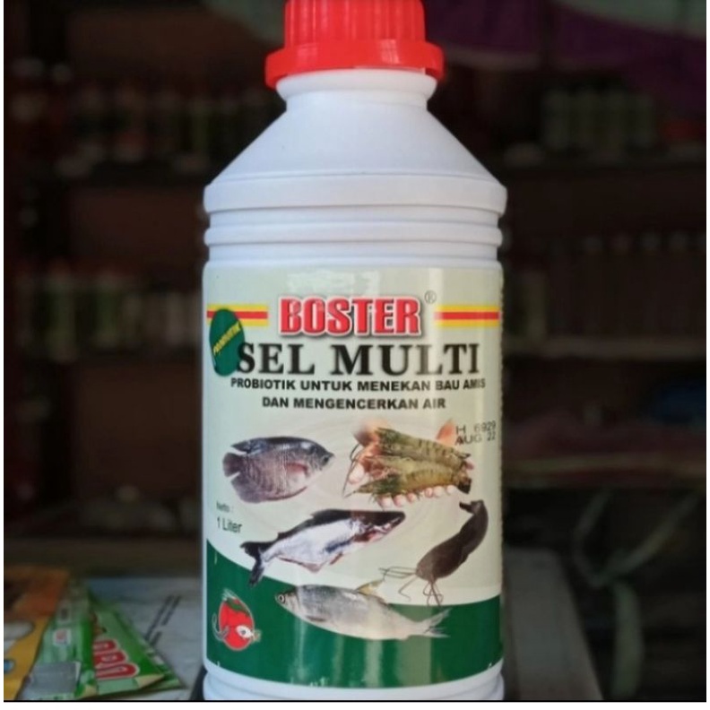 Jual probiotik sel multi | Shopee Indonesia