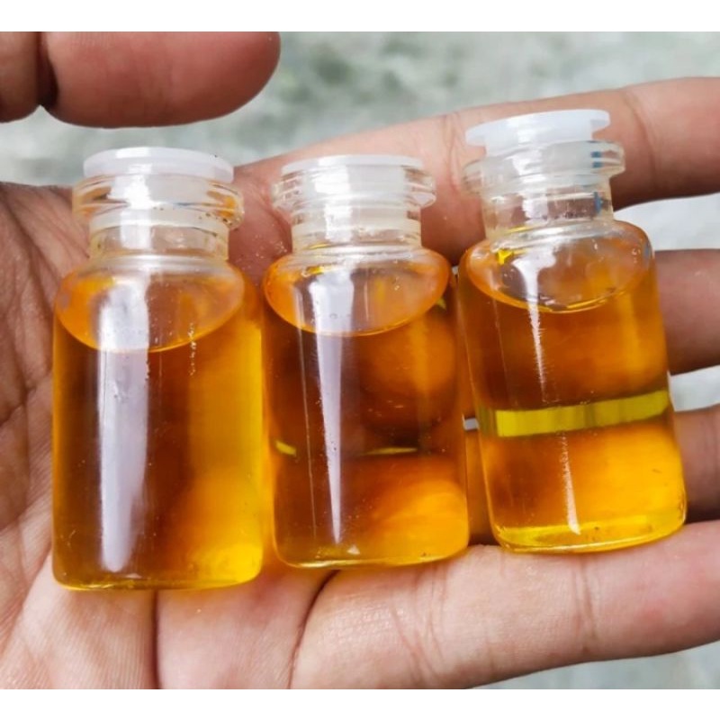 Jual MINYAK BULUS ASLI 7 ML - 10 ML OLES | Shopee Indonesia