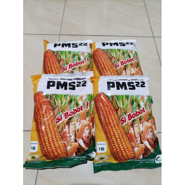 Jual Benih Jagung Hibrida PMS 22/ Benih Bibit Jagung | Shopee Indonesia