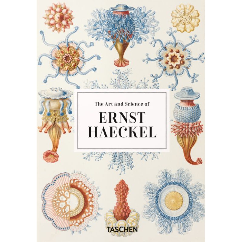 Jual Ernst Haeckel Taschen Shopee Indonesia 