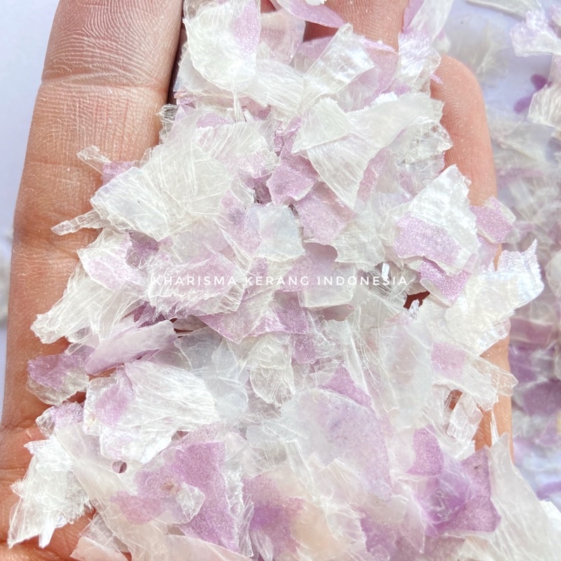 Jual SEA SHELL FLAKES CAPIZ SHELL FLAKES SERPIHAN KERANG CAPIZ SEA ...