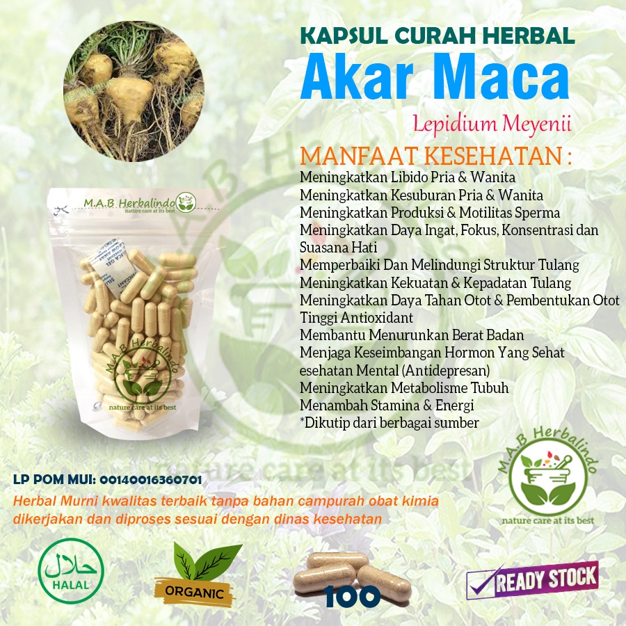 Jual Akar Maca 100 Kapsul Curah Herbal Stamina Libido Kesuburan Hormon Pria Shopee Indonesia 3301