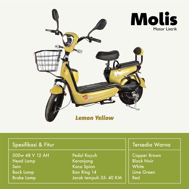 Jual Sepeda listrik Molis | Shopee Indonesia