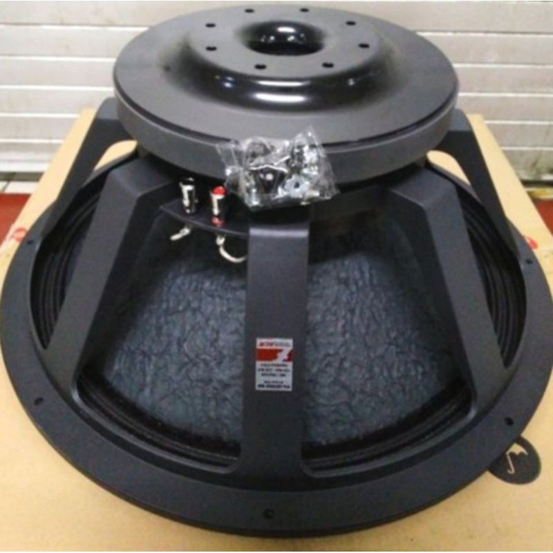 21 inch pa sales subwoofer