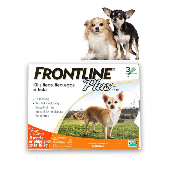 Jual FRONTLINE PLUS DOG UP TO 10 KG / SMALL (1 PIPET) | Shopee Indonesia