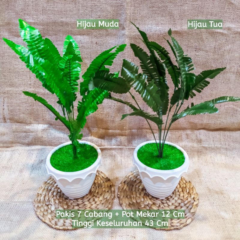 Jual Rangkaian Tanaman / Daun Pakis 7 Cabang Pot Bunga Plastik 12 Cm ...