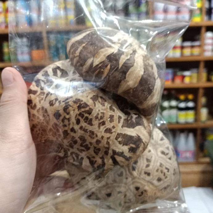 Jual Jamur shitake / shiitake mushroom / Hioko / jamur hioko JUMBO