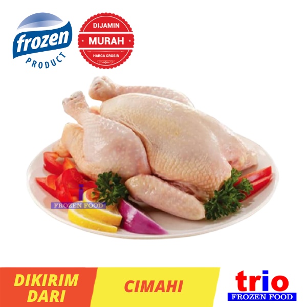 Jual Ayam Karkas Broiler Utuh 1 Kg Shopee Indonesia