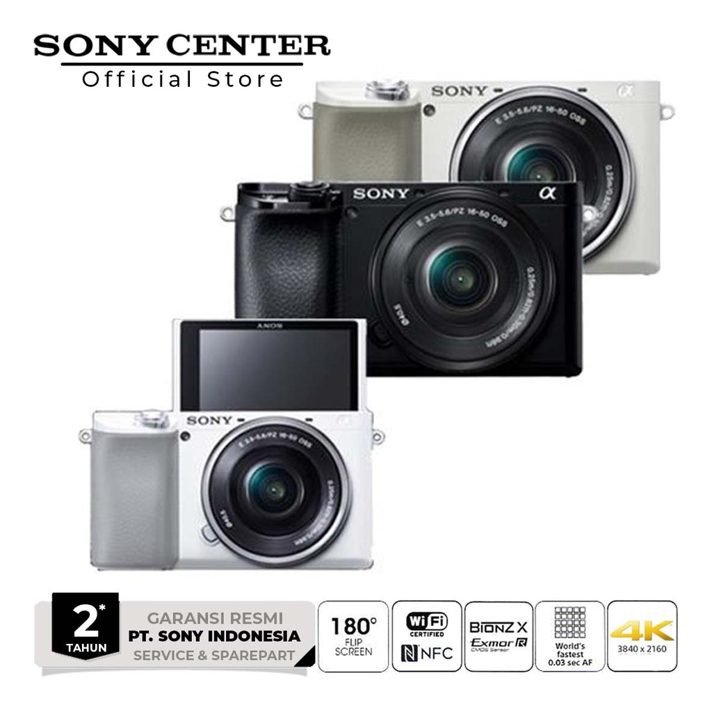 Sony Alpha a6100 Kit