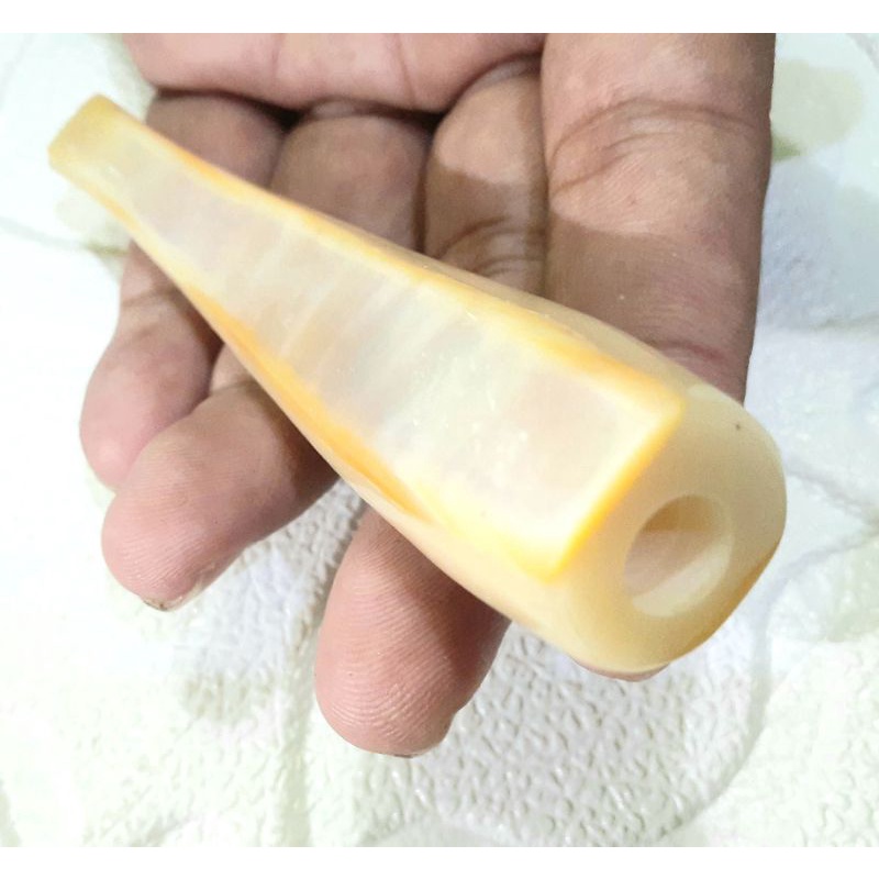 Jual pipa kerang laut samudra | Shopee Indonesia