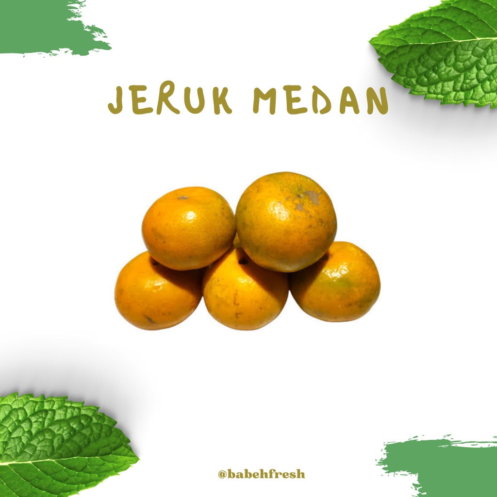 Jual Jeruk Medan Super 1kg Jeruk Brastagi Jeruk Manis Orange Buah Jeruk