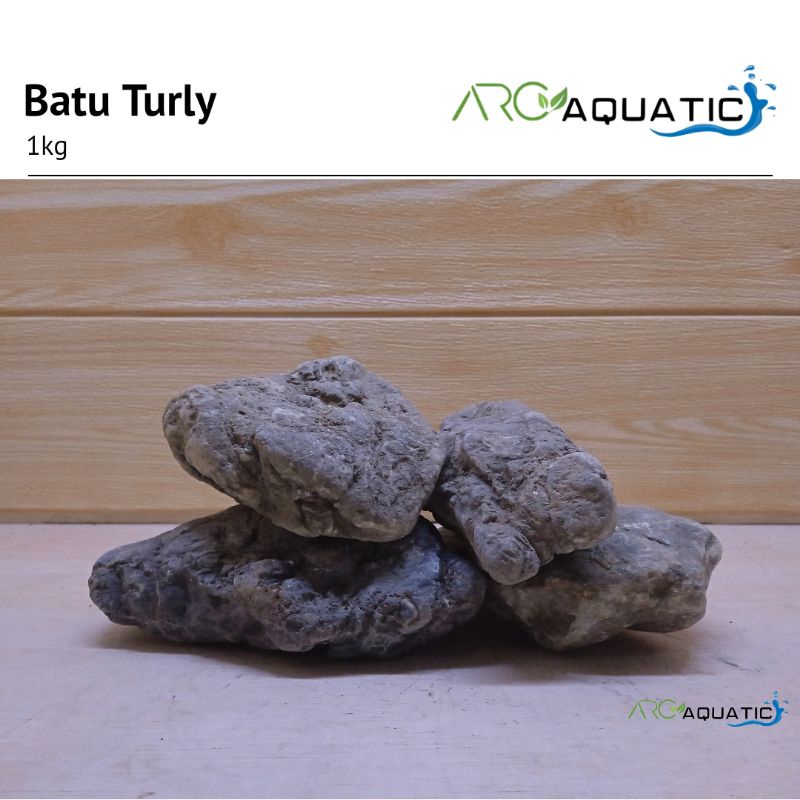 Jual Batu Turly Aquascape 1 KG | Turly stone Aquascape | Shopee Indonesia