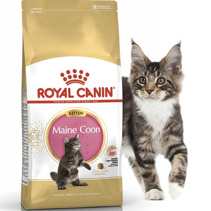 Jual CAT FOOD ROYAL CANIN KITTEN MAINE COON MAINECOON 2KG 2 KG