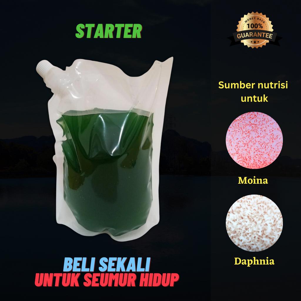 Jual Green water/Chlorella/Air Hijau Untuk Budidaya Kutu Air Shopee