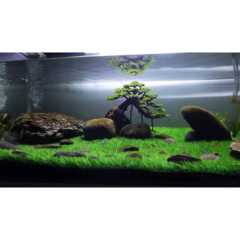 Jual RUMPUT SINTETIS SWISS SISA POTONGAN BANTING HARGA | Shopee Indonesia