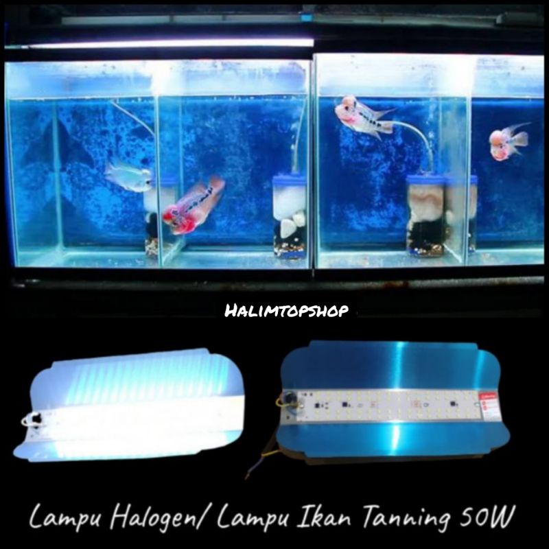 Jual Lampu Tanning Progres Aquarium Ikan Lampu Jalan W Pju Led Sunlamp Sorot Outdoor