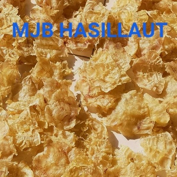 Jual Perut Ikan Manyong / Hipio / Hupio /Lambung Ikan/Fishmaw / 500Gram ...