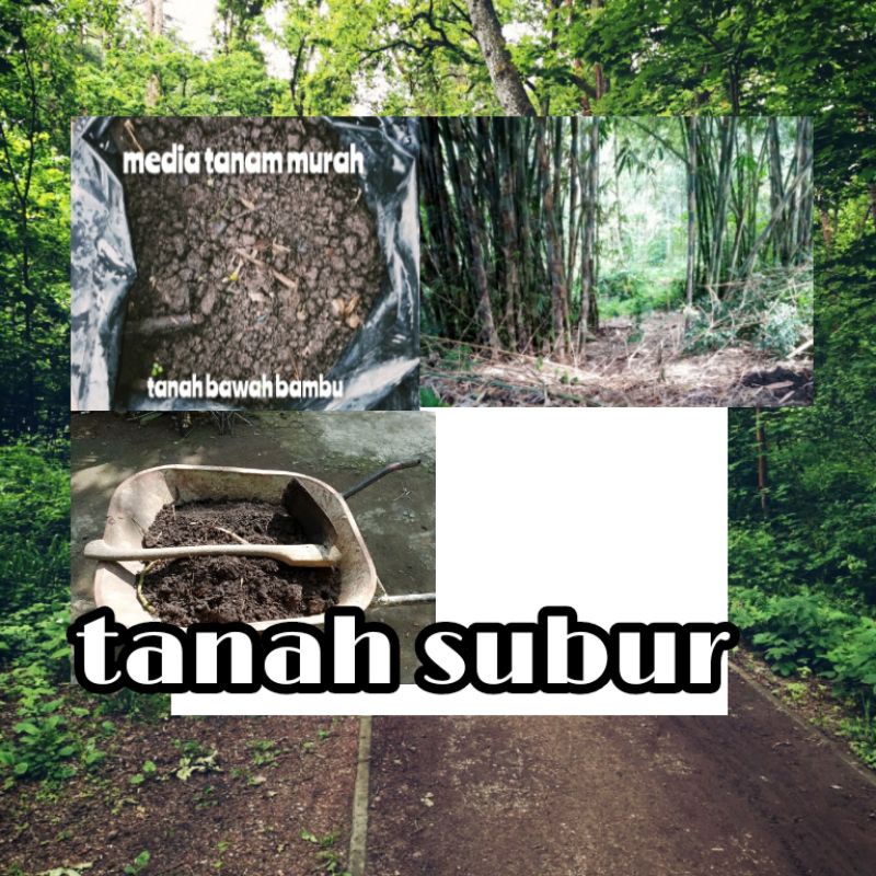 Jual Media Tanam Tanah Bambu Siap Pakai 1kg | Shopee Indonesia