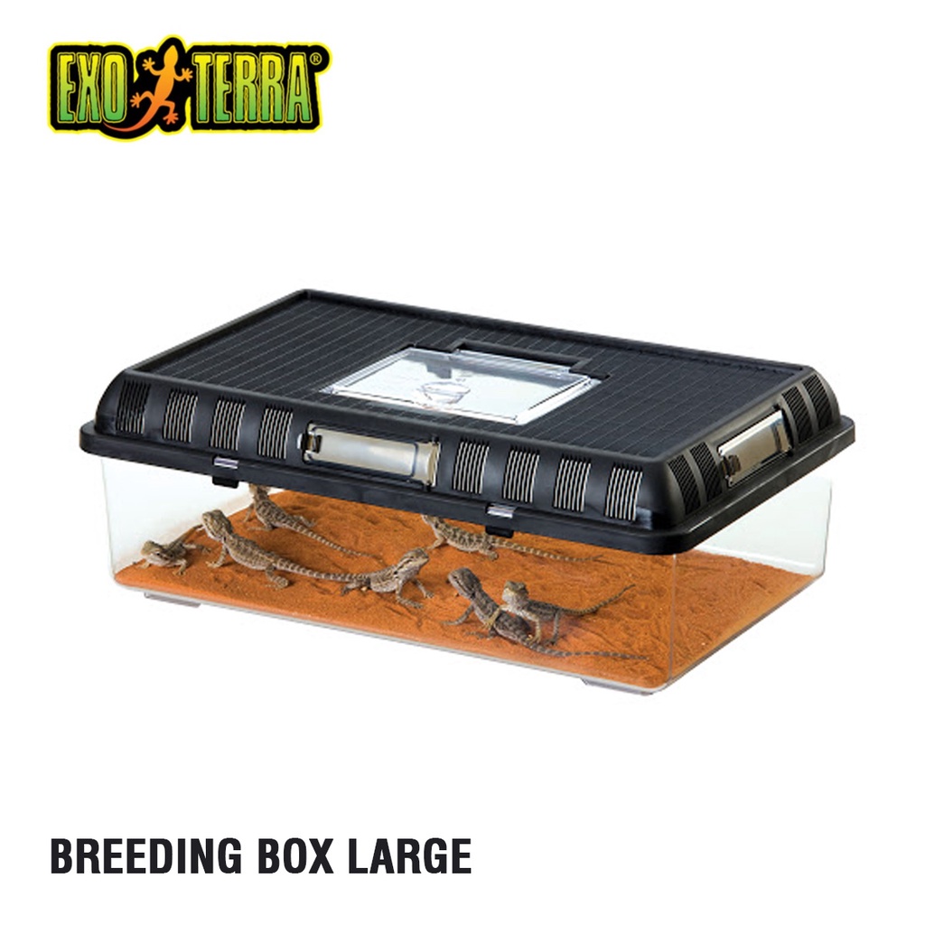 Jual Exoterra breeding box large kandang reptile besar Exo Terra
