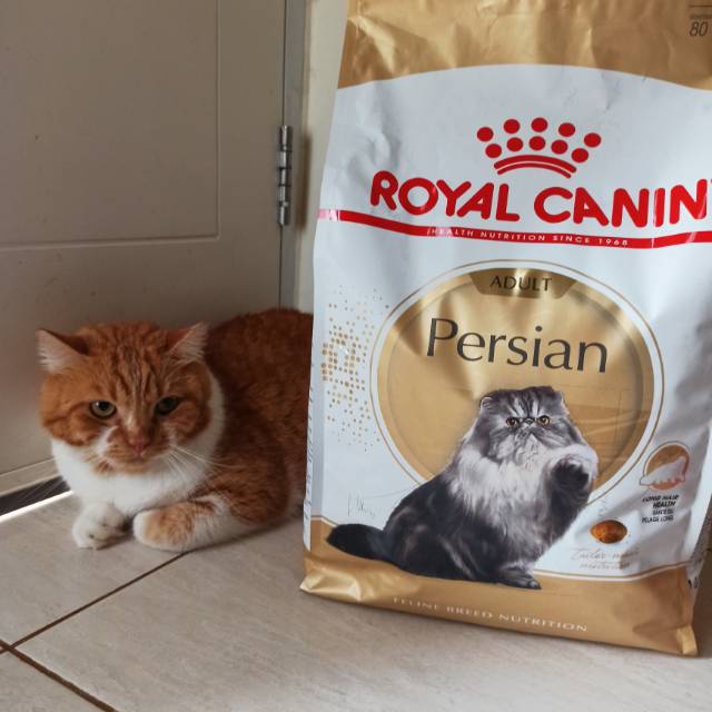 Jual Royal Canin Persian Adult 400gr | Shopee Indonesia