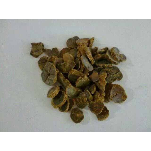Jual 10 G 50 GR 100 GRAM YAN HU SUO YANHUSUO YUAN HU CORYDALIS RHIZOMA ...