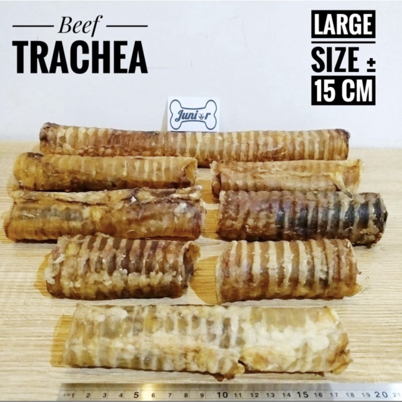 Jual Beef Trachea Dog Snack / Snack Makanan Anjing / Trakea Sapi ...