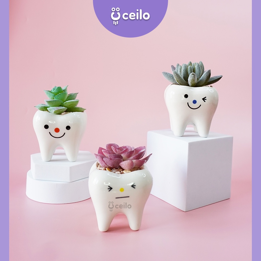 Produk Ceilo Official | Shopee Indonesia