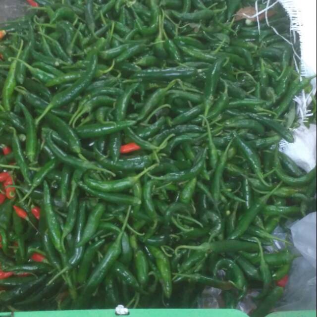 Jual Cabe Cabai Hijau Besar 95 Gram Shopee Indonesia