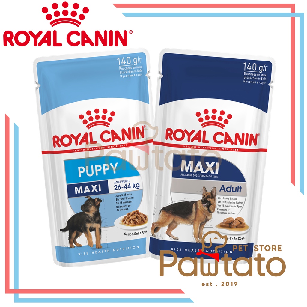 Makanan Basah Anjing Royal Canin Pouch Maxi Puppy Adult Dog Herder Golden Husky Ras Besar