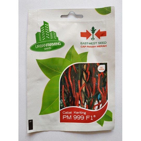 Jual Benih Biji Cabai Cabe Keriting PM 999 F1 - Mini Pack - Panah Merah ...