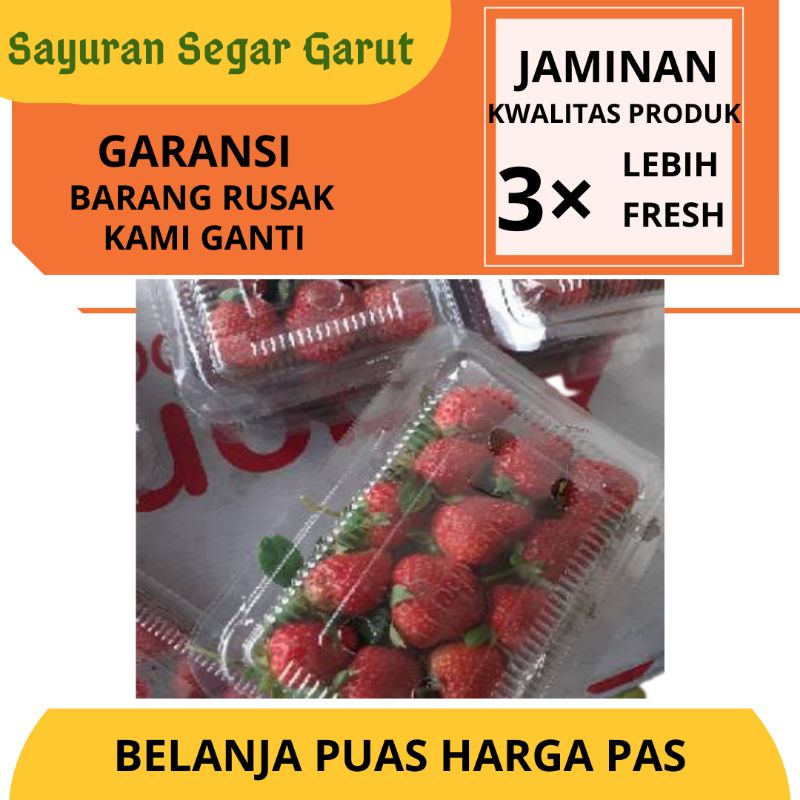 Jual Buah Strawberry/Stobery Segar Murah Per Pak By Sayuran Segar Garut ...