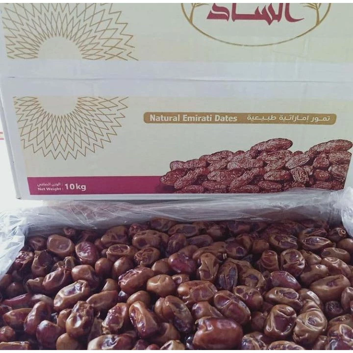 Jual Kurma Blitar