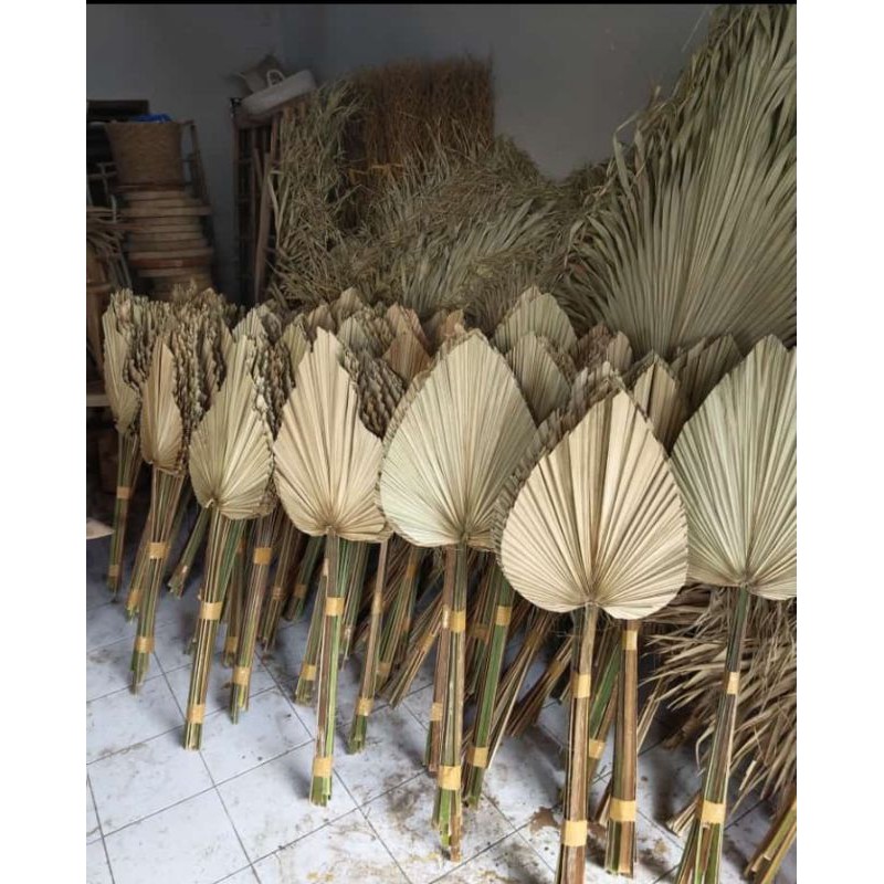 Jual Daun Palem Kering Dried Palm Dried Flower Daun Kering Shopee