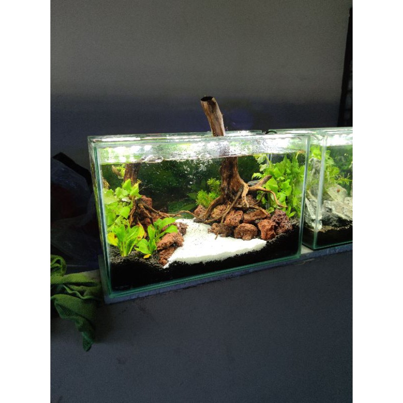 View of Jual SOLD Aquarium Full Set Aquascape 40 Y | Shopee Indonesia