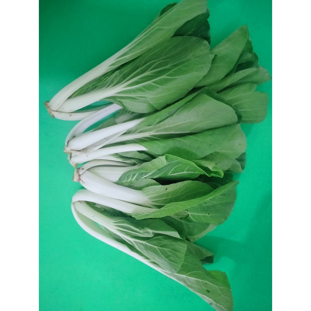 Jual Pakchoy Putih Organik Sayur Segar Ibumi Farm Shopee Indonesia