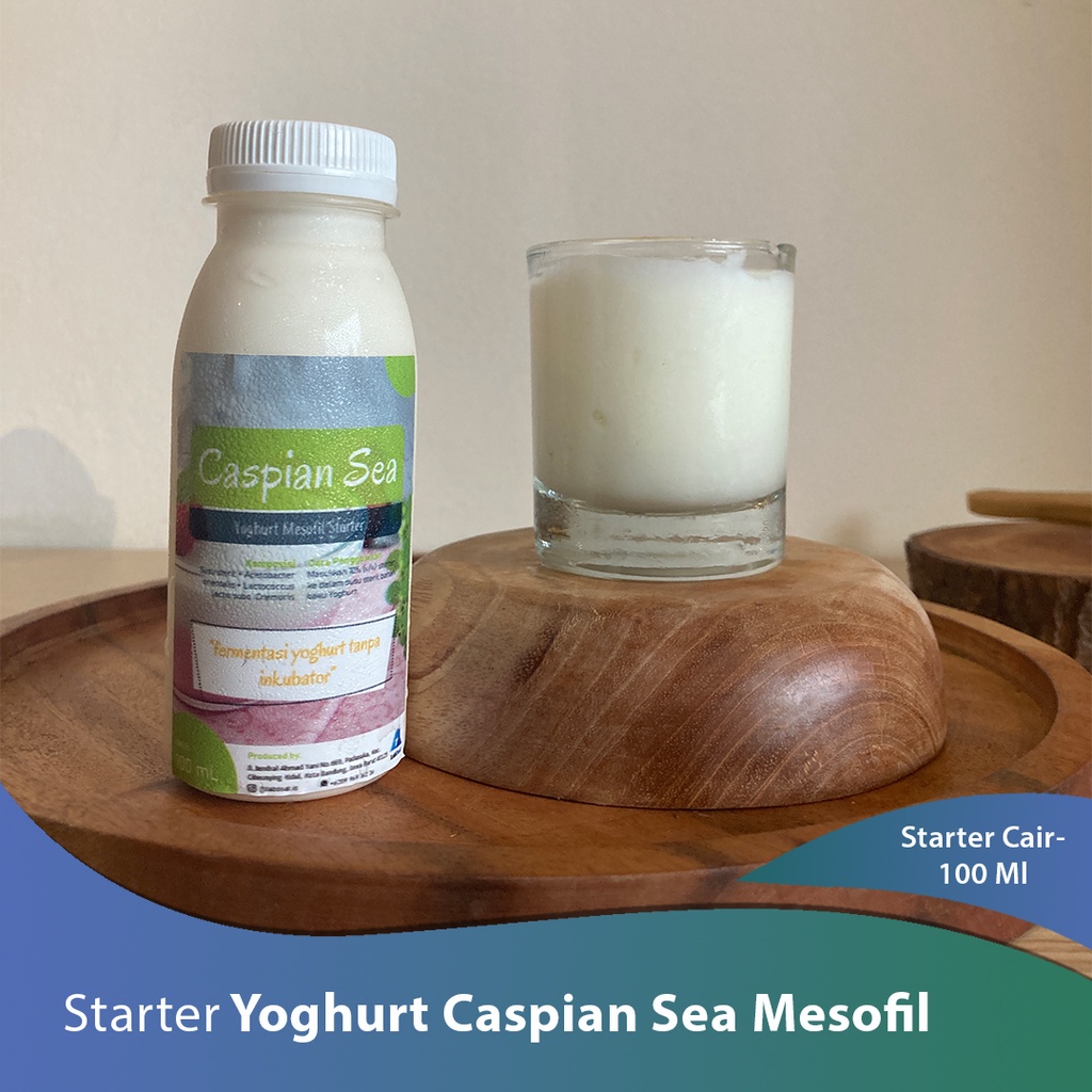 Jual Starter Cair Yoghurt Caspian Sea Mesofil Shopee Indonesia