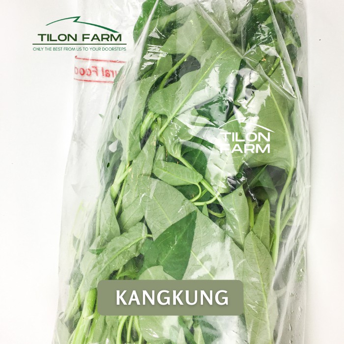 Jual Kangkung Kang kung Hidroponik dan Organik Tilon Farm Sayuran segar ...