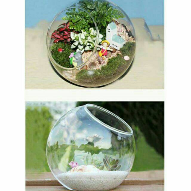 Jual Terrarium dome bola kaca dekorasi terrarium vas kaca bahan terrarium botol kaca aquarium