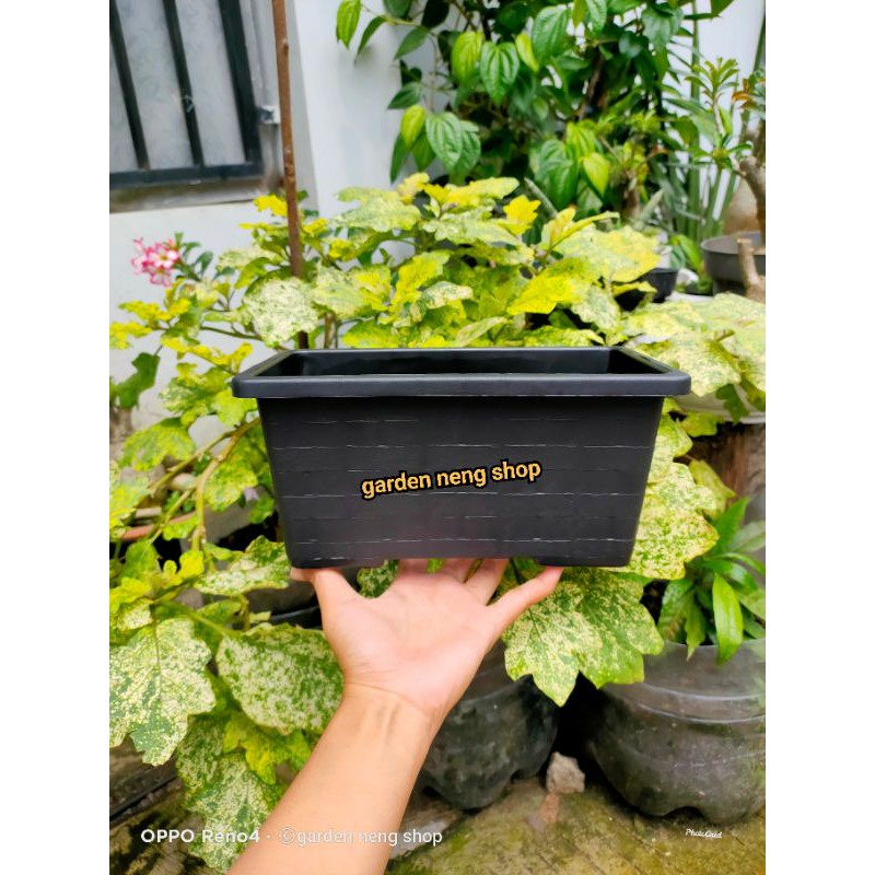 Jual POT SEGI PANJANG BATA 25 (25cm) hitam roemah pot bunga murah pot