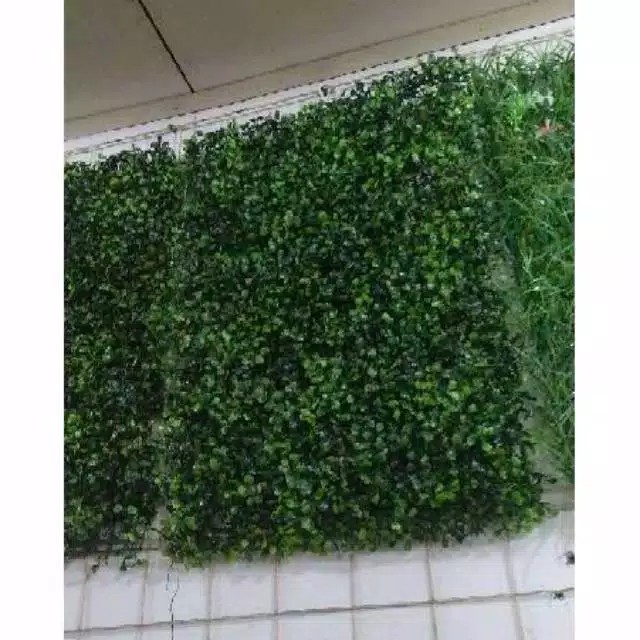 Jual daun rambat dinding dolar sintetis ukuran 60x40cm | Shopee Indonesia