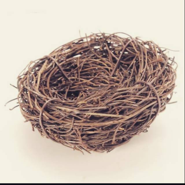 Bird Nest Decor